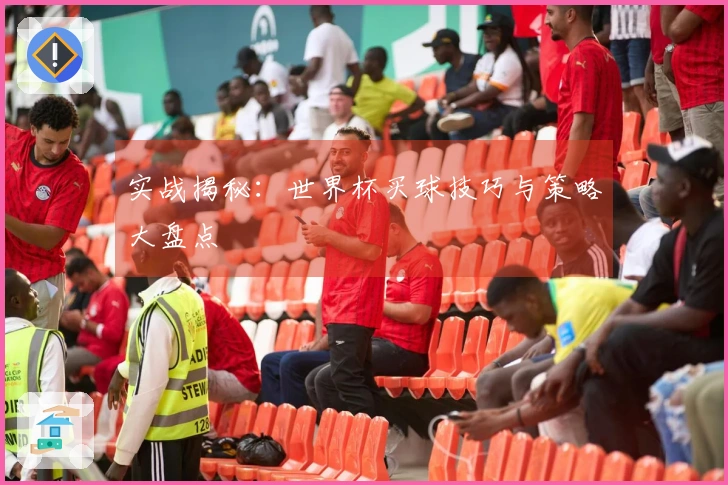 实战揭秘：世界杯买球技巧与策略大盘点