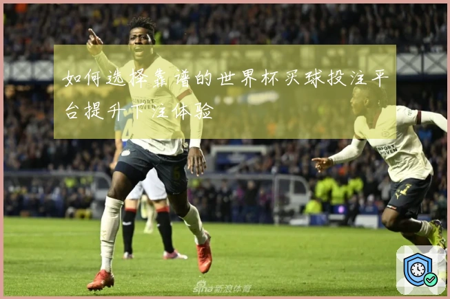 如何选择靠谱的世界杯买球投注平台提升下注体验