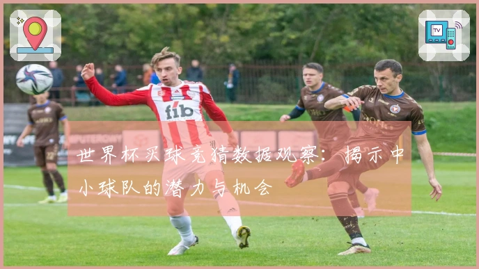 世界杯买球竞猜数据观察：揭示中小球队的潜力与机会