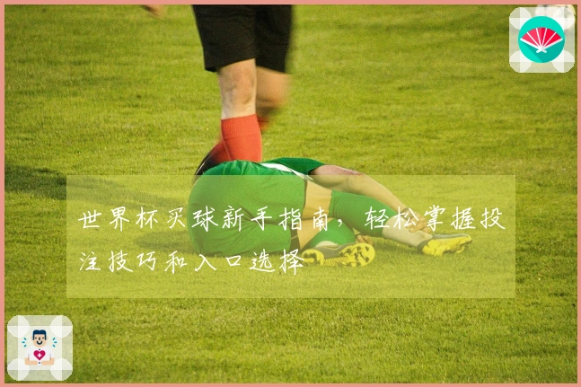 世界杯买球新手指南，轻松掌握投注技巧和入口选择