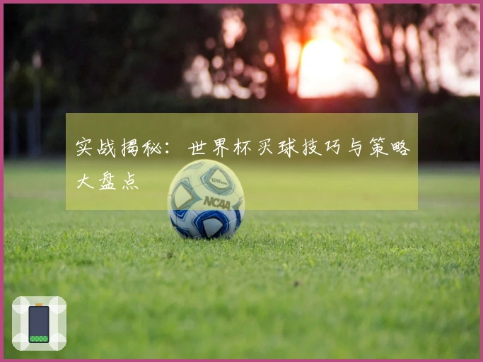 实战揭秘：世界杯买球技巧与策略大盘点