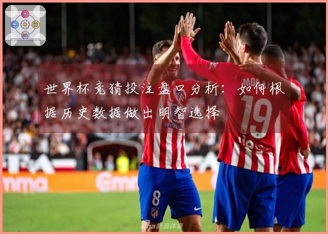 世界杯竞猜投注盘口分析：如何根据历史数据做出明智选择
