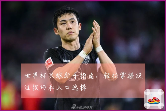 世界杯买球新手指南,轻松掌握投注技巧和入口选择