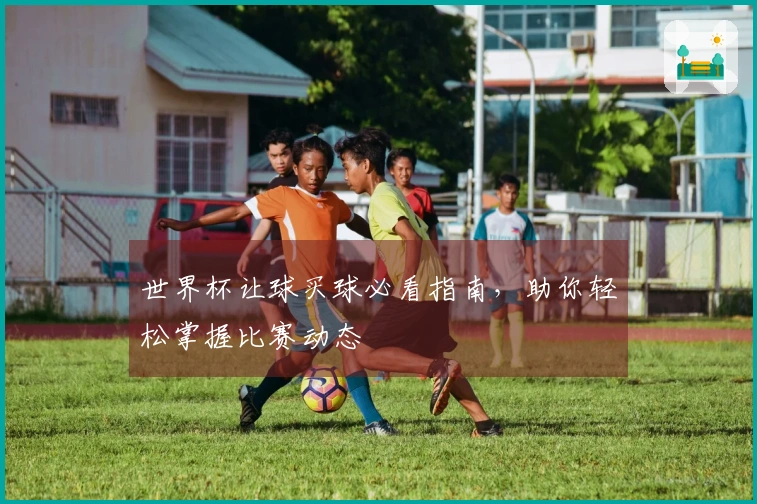 世界杯让球买球必看指南，助你轻松掌握比赛动态