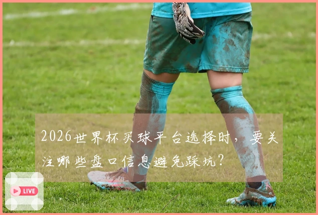 2026世界杯买球平台选择时，要关注哪些盘口信息避免踩坑？