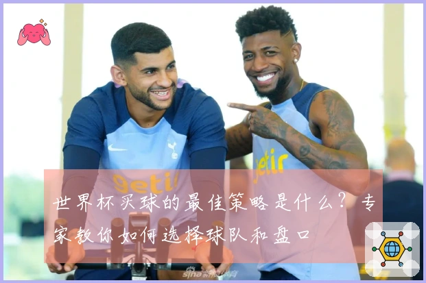 世界杯买球的最佳策略是什么？专家教你如何选择球队和盘口