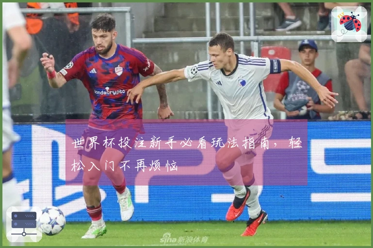 世界杯投注新手必看玩法指南，轻松入门不再烦恼