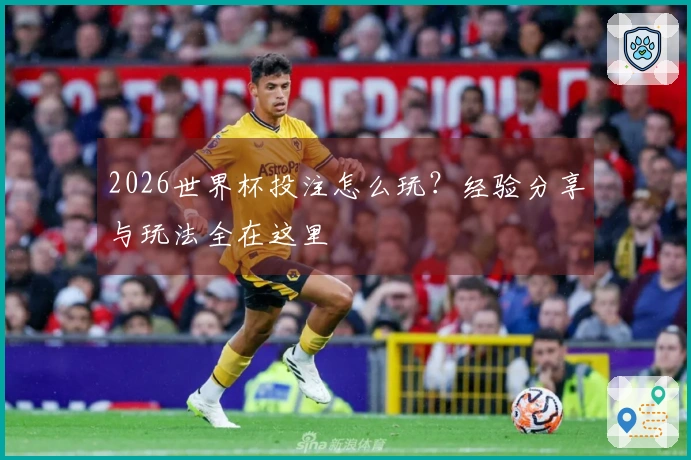 2026世界杯投注怎么玩？经验分享与玩法全在这里