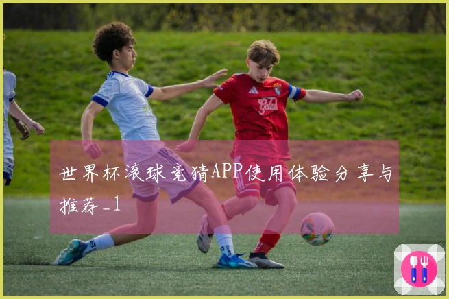 世界杯滚球竞猜APP使用体验分享与推荐_1
