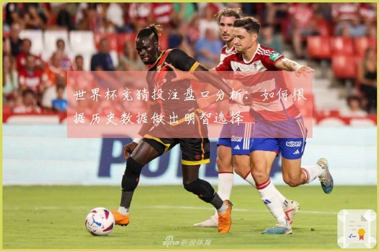 世界杯竞猜投注盘口分析：如何根据历史数据做出明智选择
